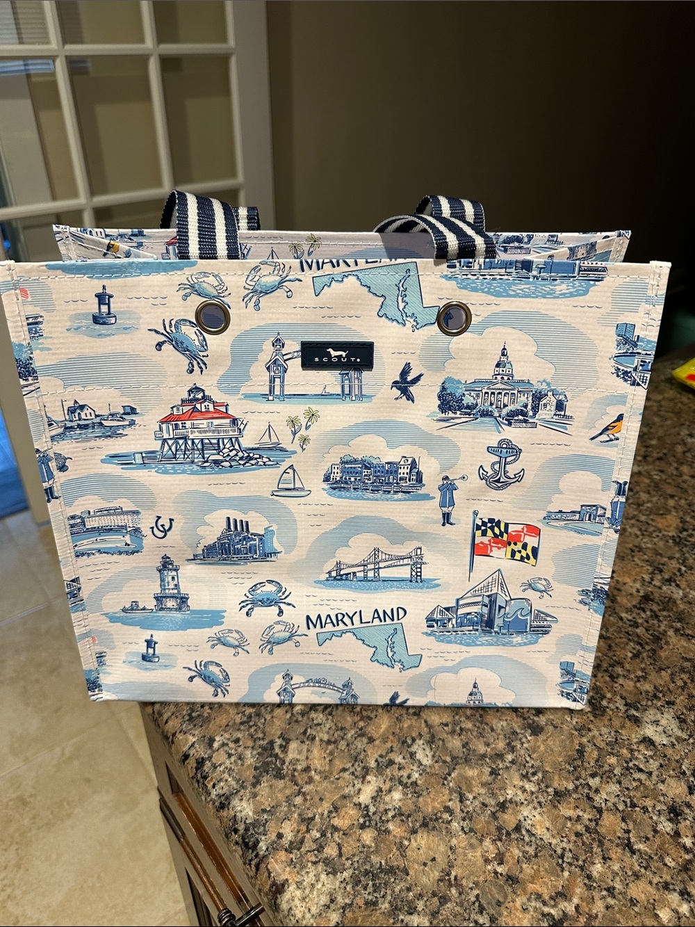 Scout Blue & White Maryland Scenic Gift Bag NWT
